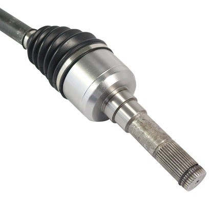 NCV11021_4.jpg