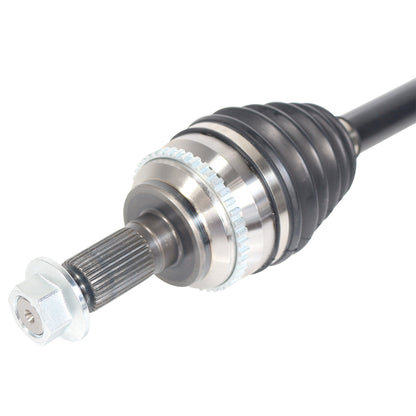 NCV11093_3.jpg