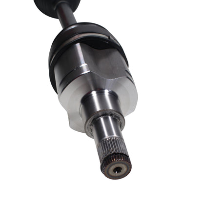 NCV11552_4.jpg