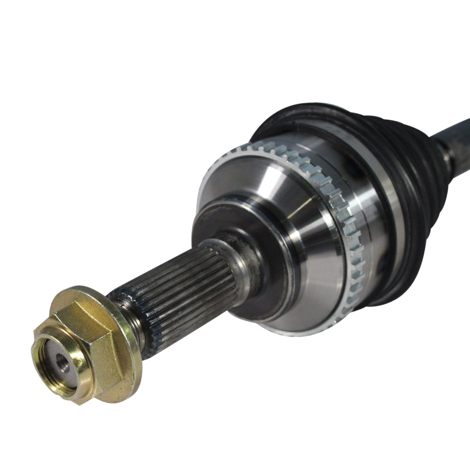 NCV11506_3.jpg