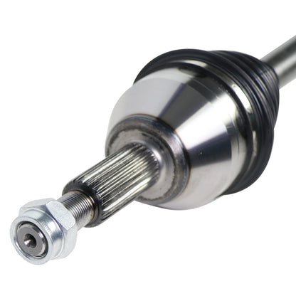 NCV11101_2.jpg