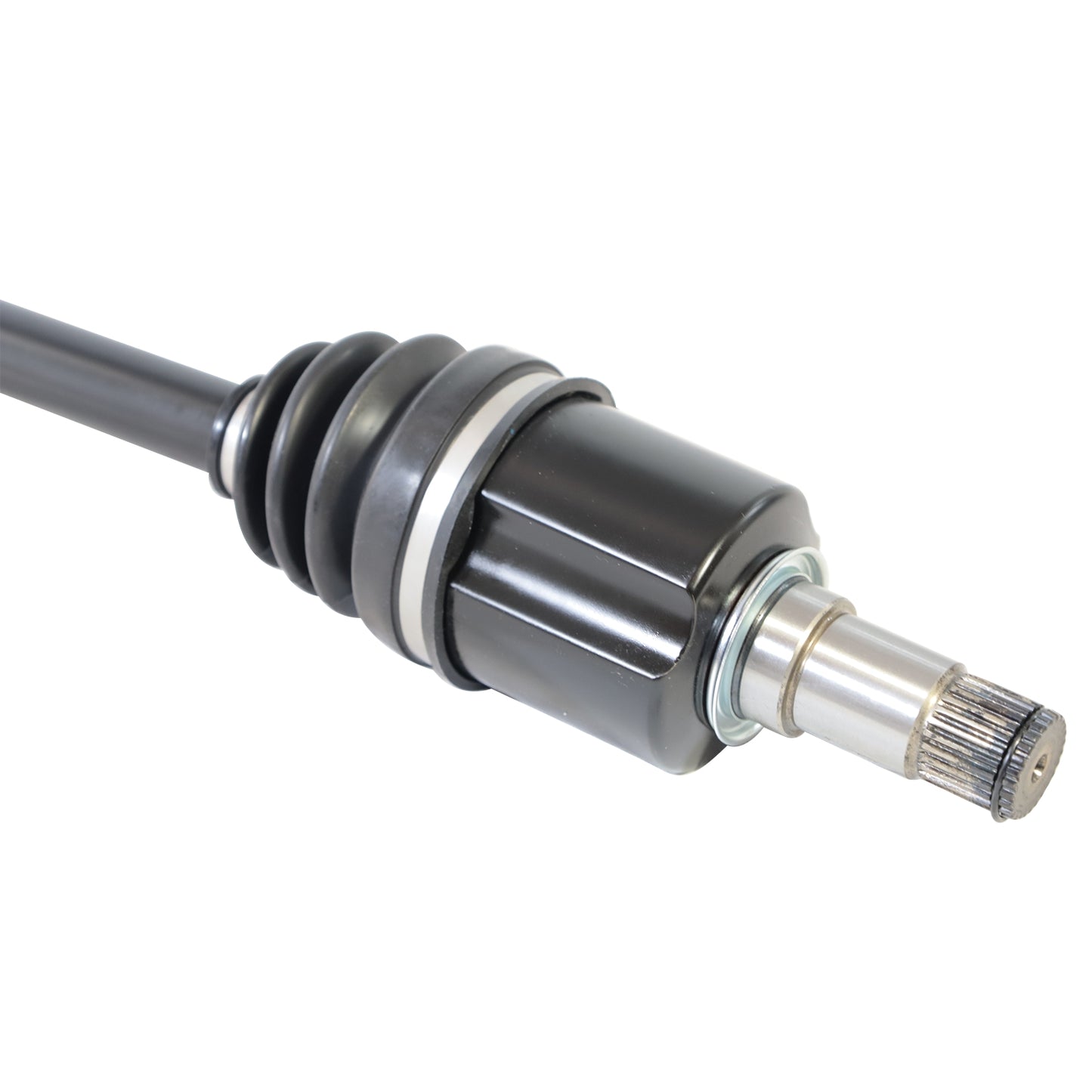 PR48007_4.jpg