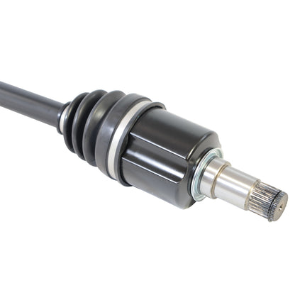 PR48007_4.jpg