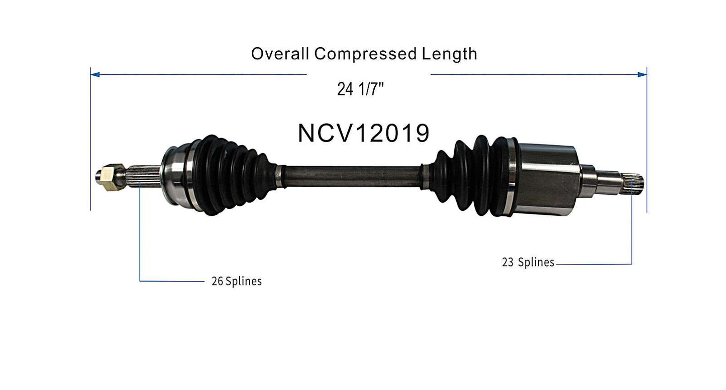NCV12019_SPE.jpg