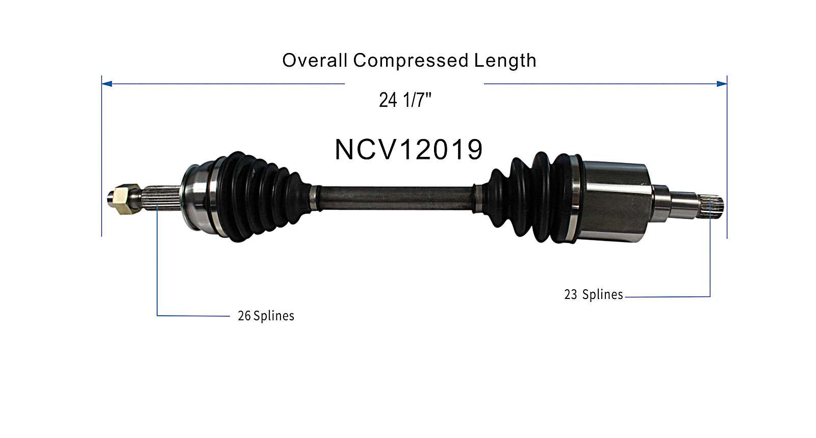 NCV12019_SPE.jpg