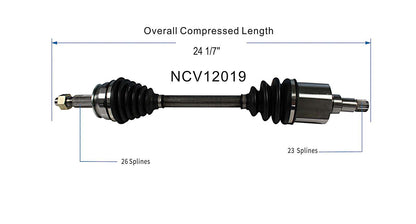 NCV12019_SPE.jpg