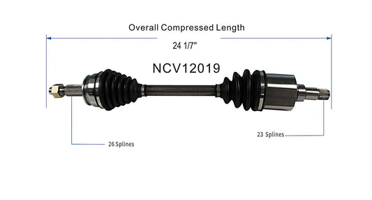 NCV12019_SPE.jpg
