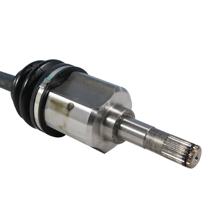 NCV11009_4.jpg