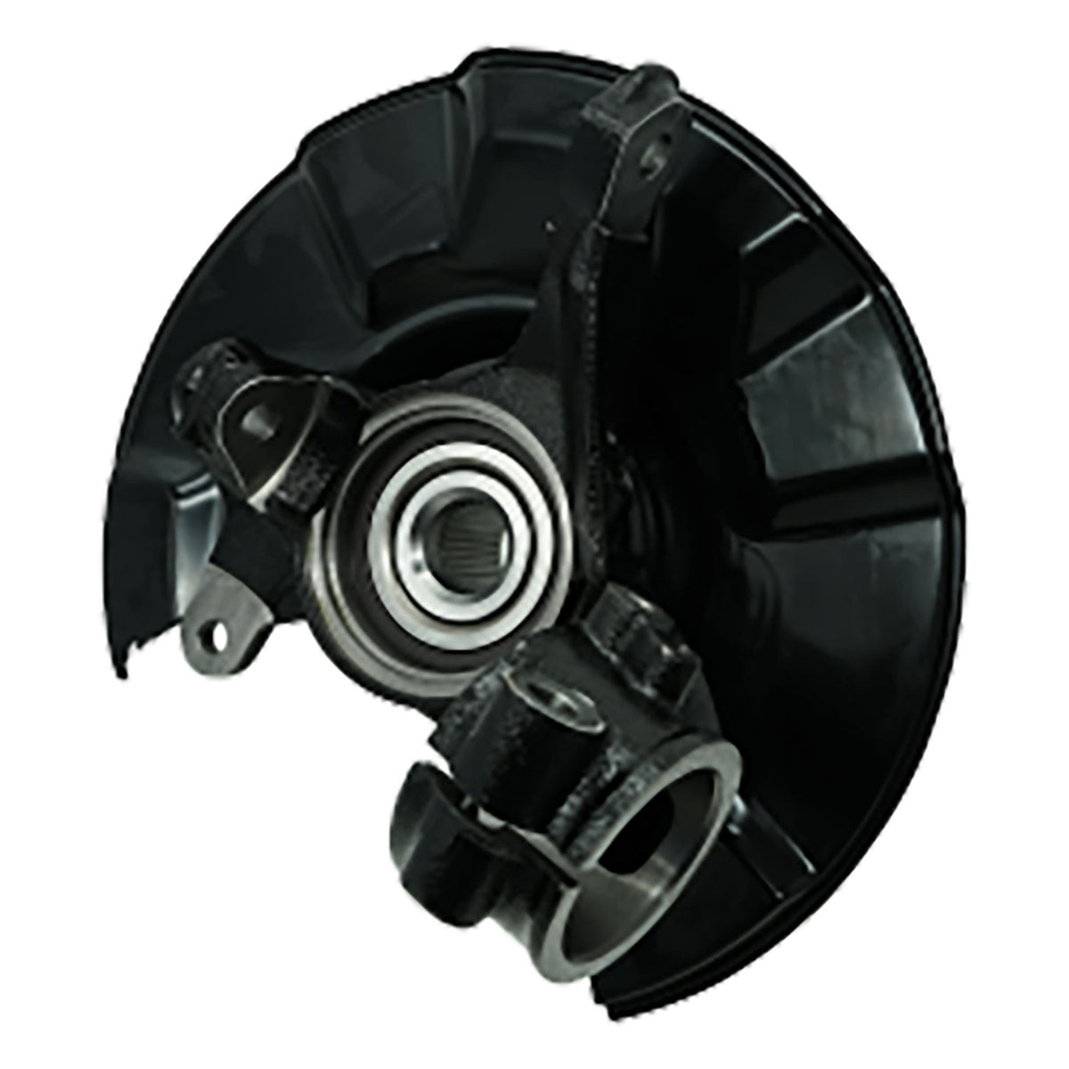 9360079_5.jpg