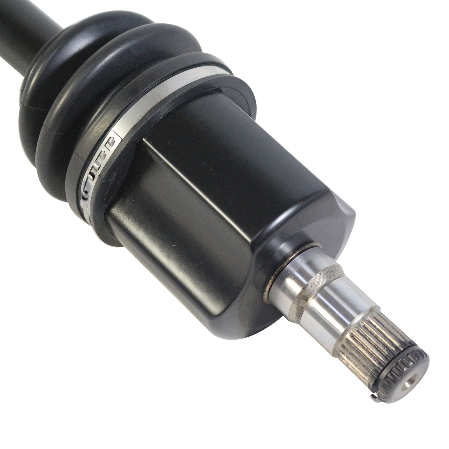 PR73555_4.jpg