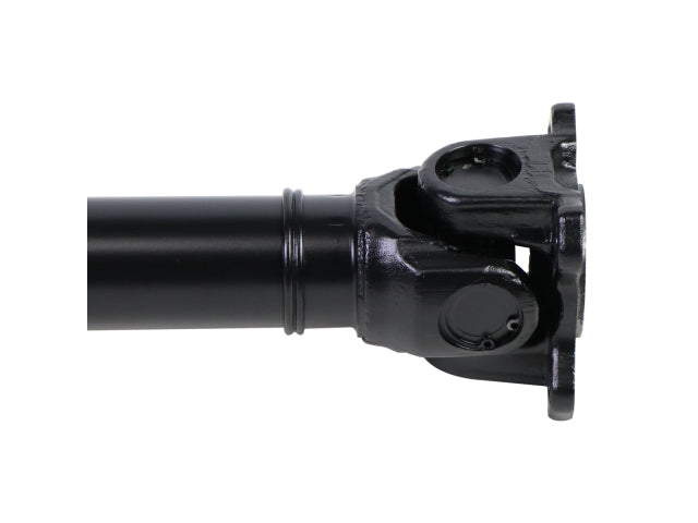 PS900159_4.jpg