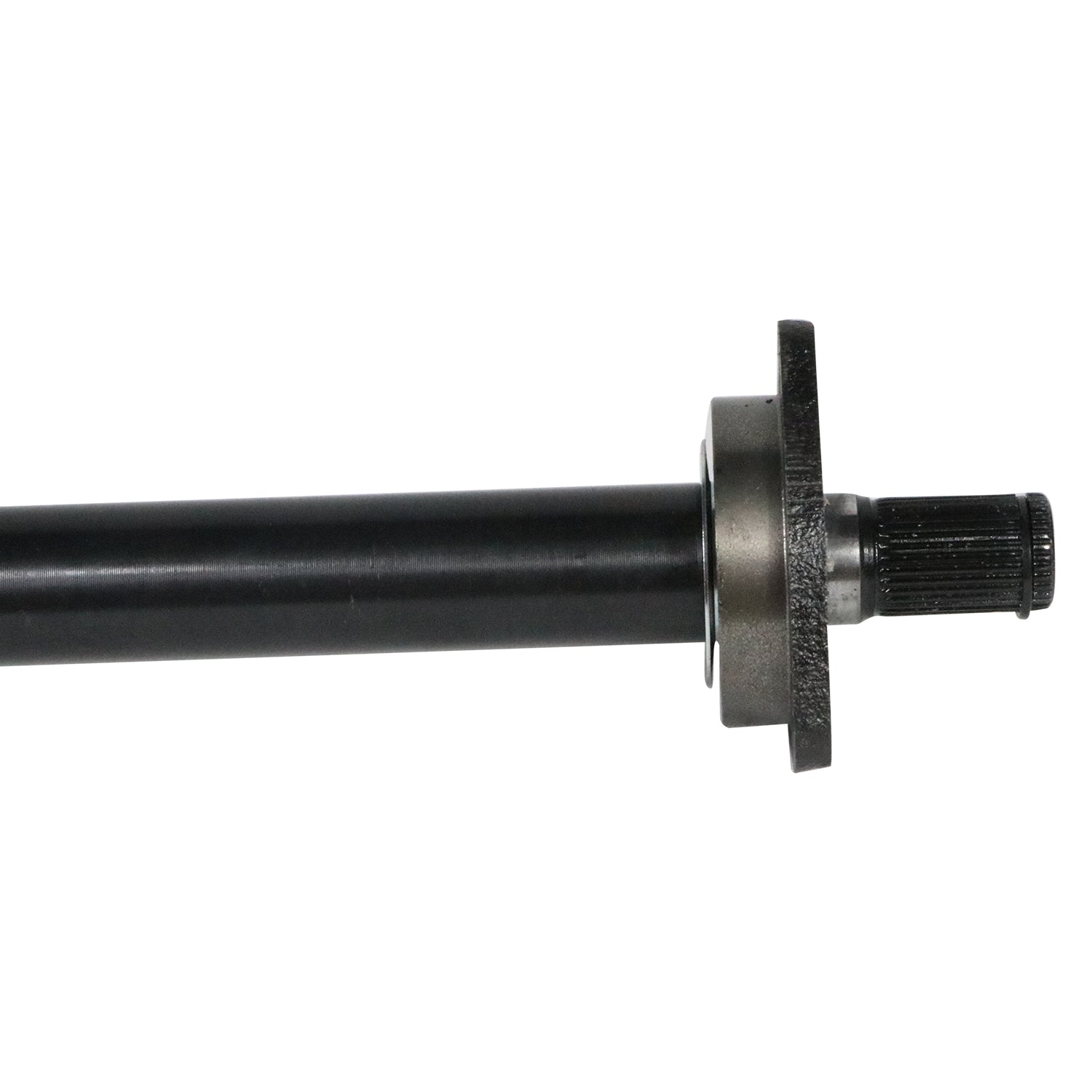 NEX10002_2.jpg