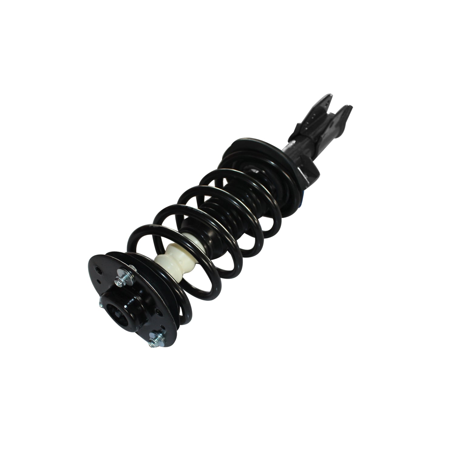 882346.jpg