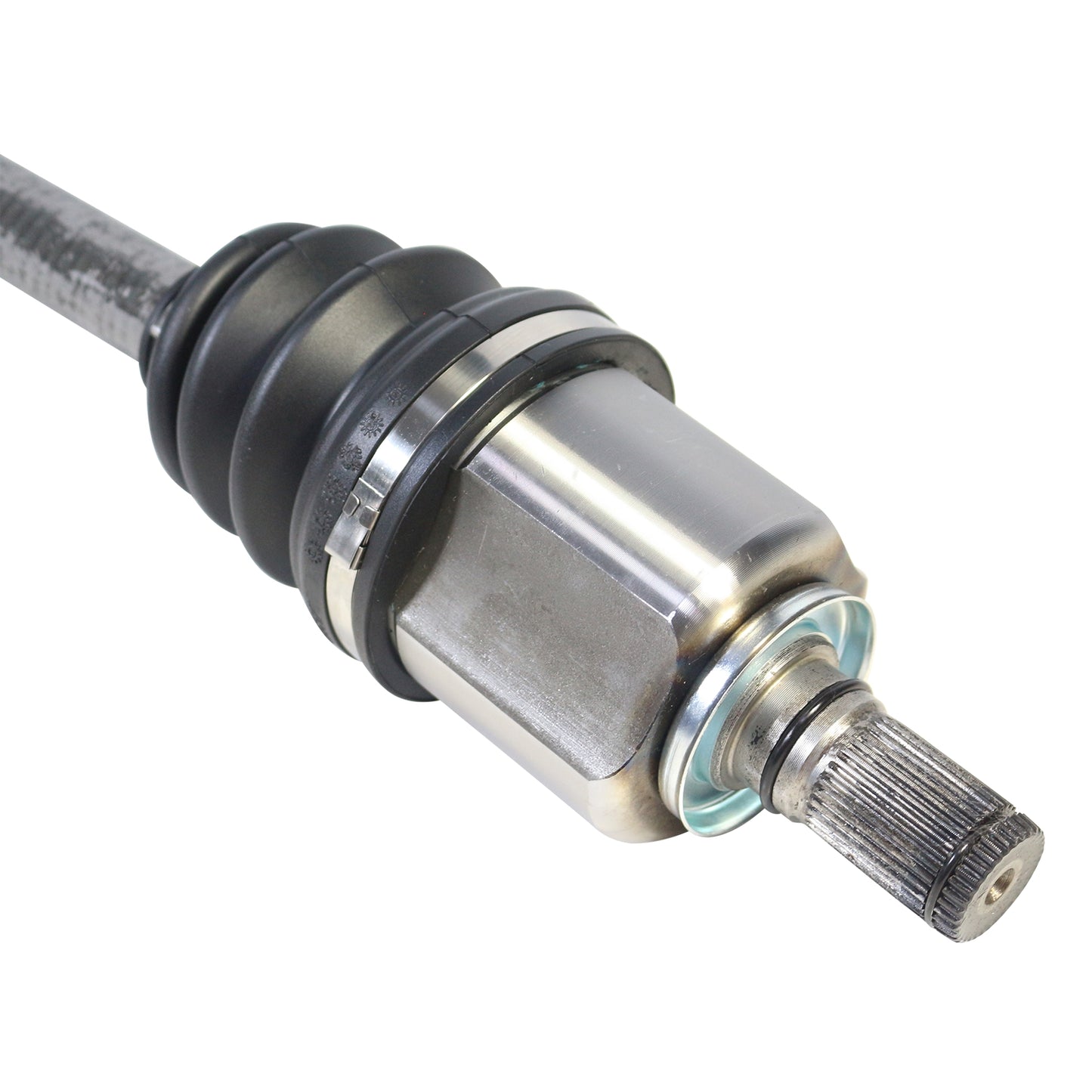 NCV16009_4.jpg