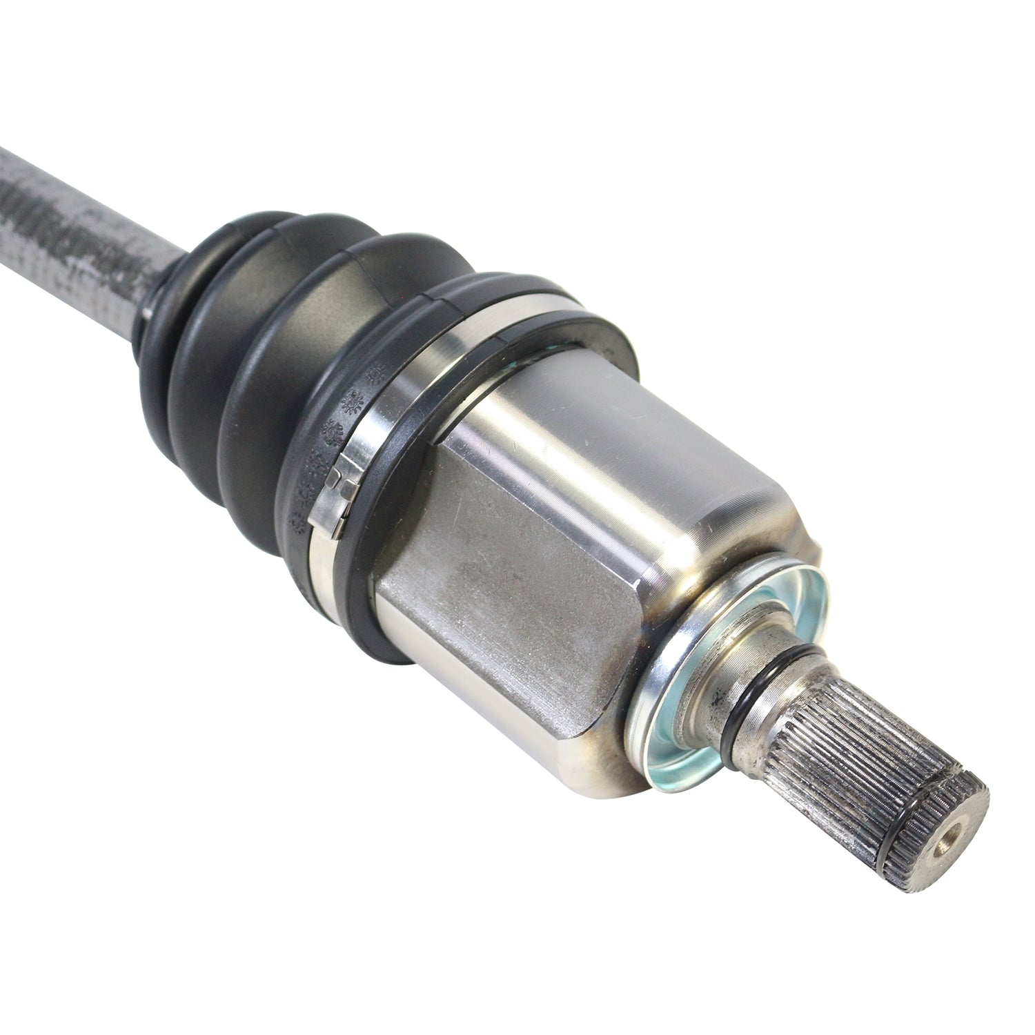 NCV16009_4.jpg