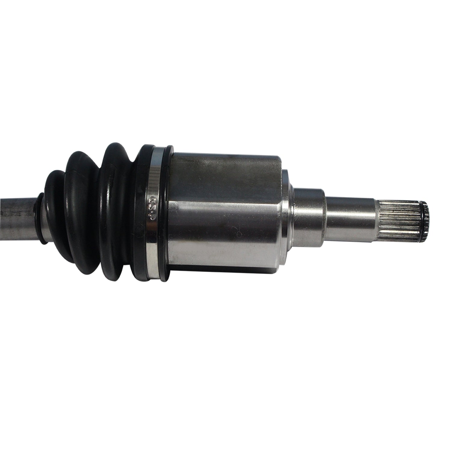 NCV11186_2.jpg
