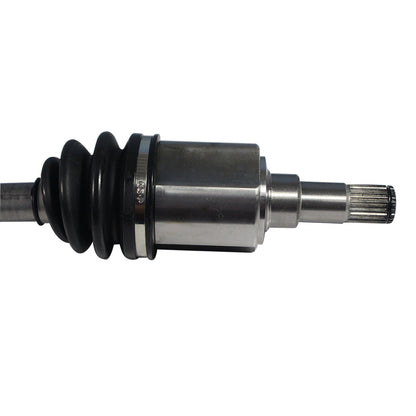 NCV11186_2.jpg