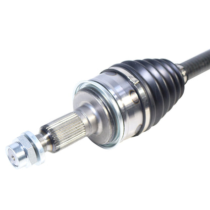 NCV16008_3.jpg