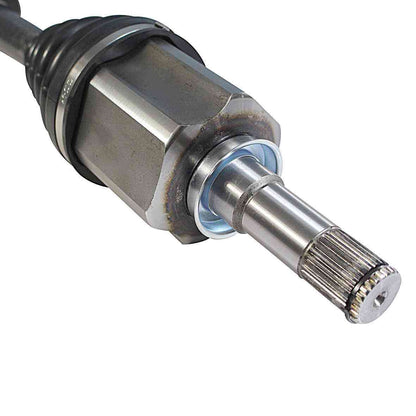 NCV10086-4.jpg