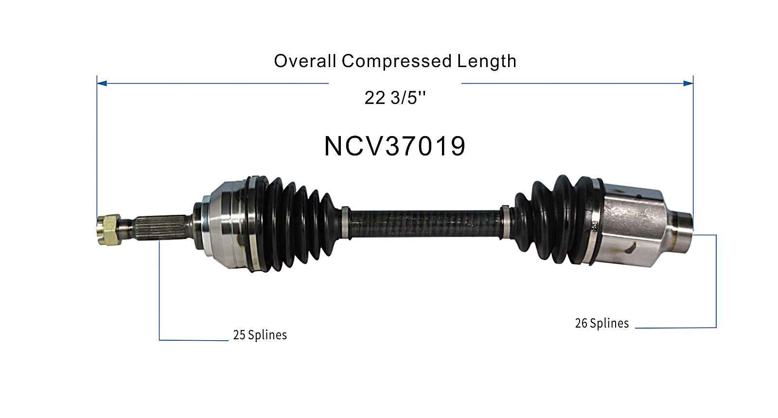 NCV37019_SPE.jpg