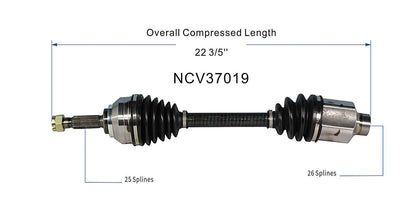NCV37019_SPE.jpg