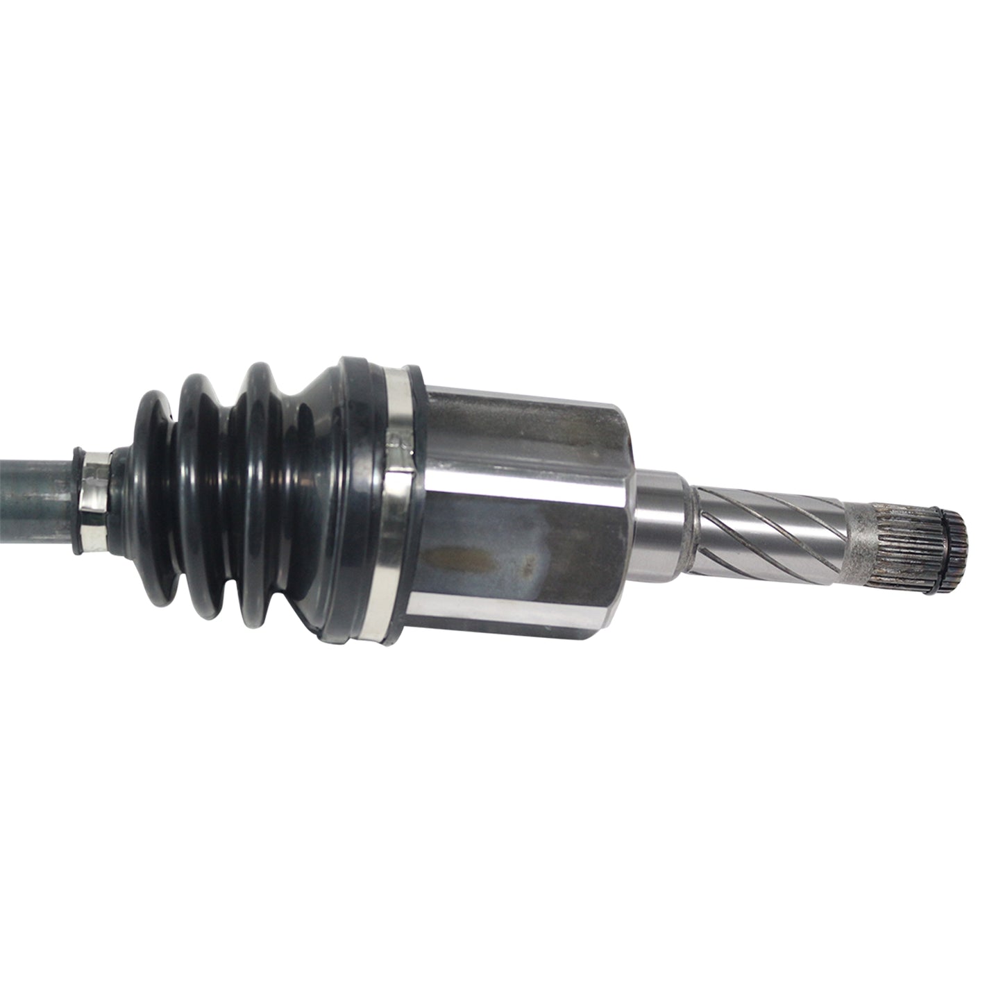 NCV11091_2.jpg