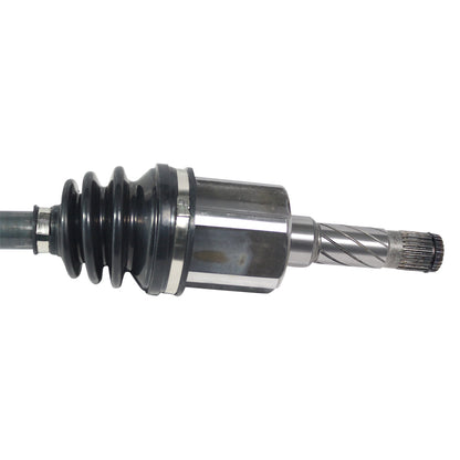 NCV11091_2.jpg