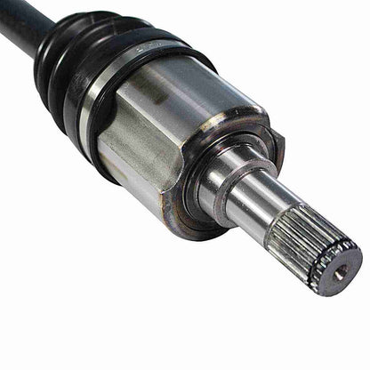 NCV36084-4.jpg