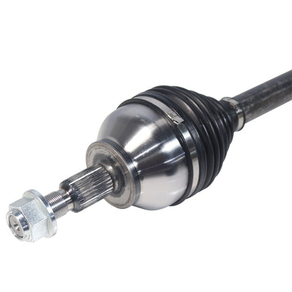 NCV11090_3.jpg