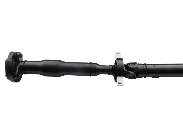 PS900123_1.jpg