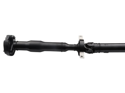 PS900123_1.jpg