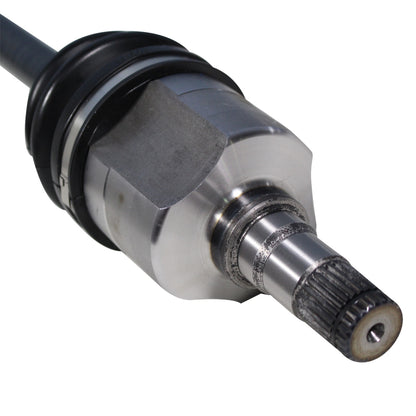NCV49003_4.jpg