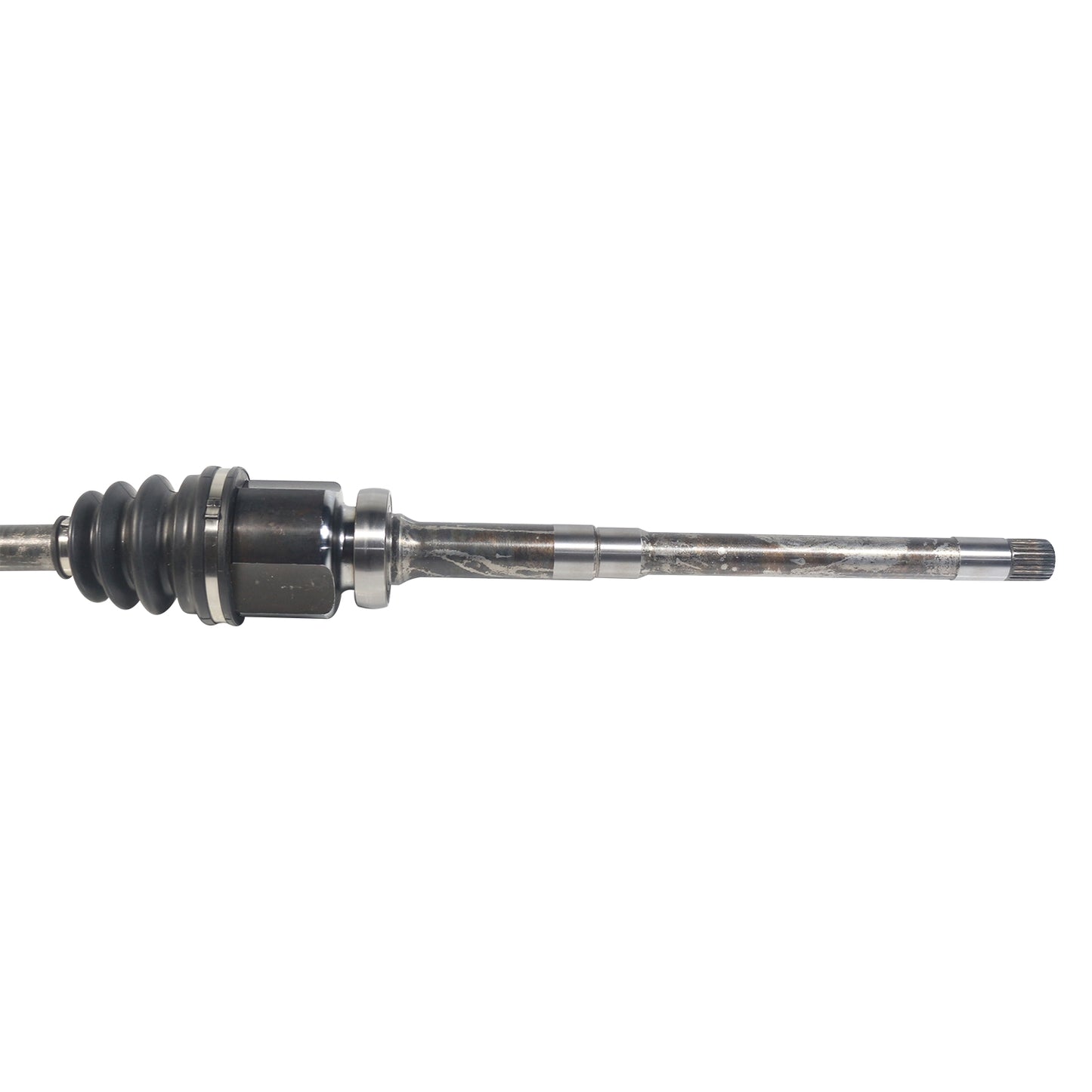 NCV11217_2.jpg