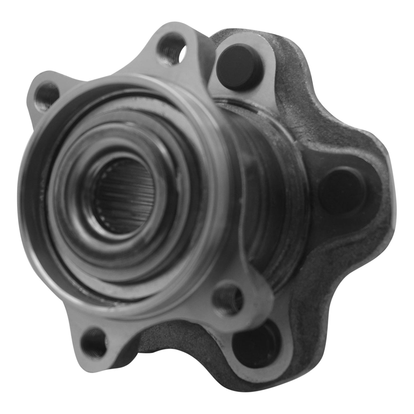 533373_5.jpg