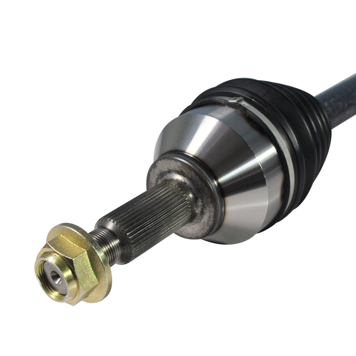 NCV11197_3.jpg