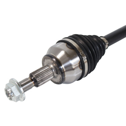 NCV11181_3.jpg