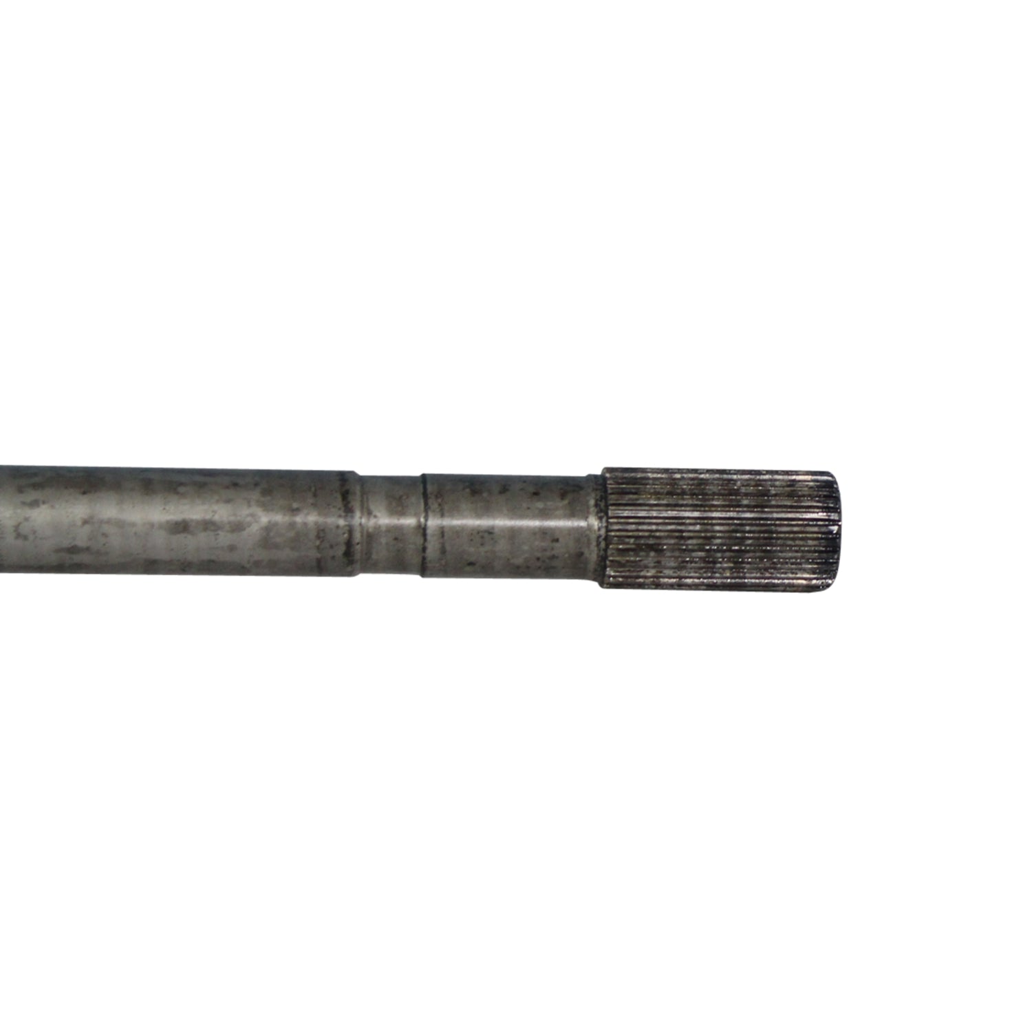 NCV11100_2.jpg