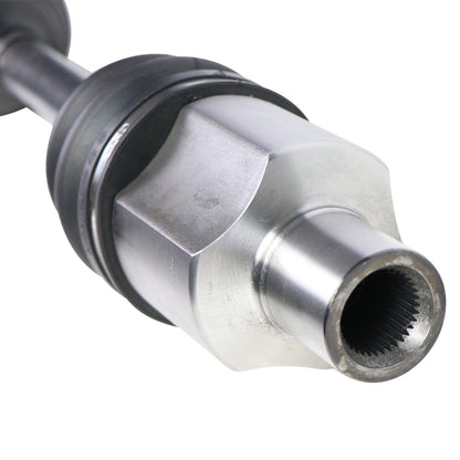 NCV11101_1.jpg