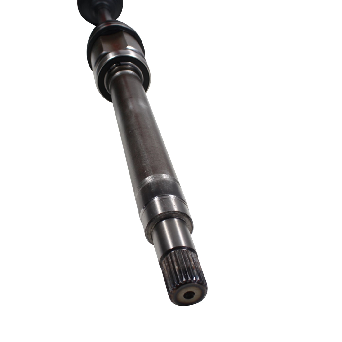 NCV11000_4.jpg