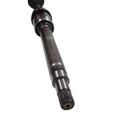 NCV11000_4.jpg