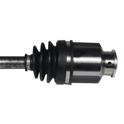 NCV66505_2.jpg