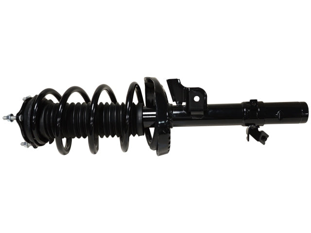 813146_2.jpg