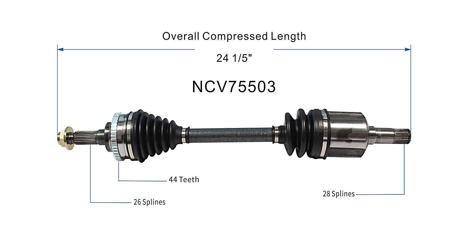 NCV75503_SPE.jpg