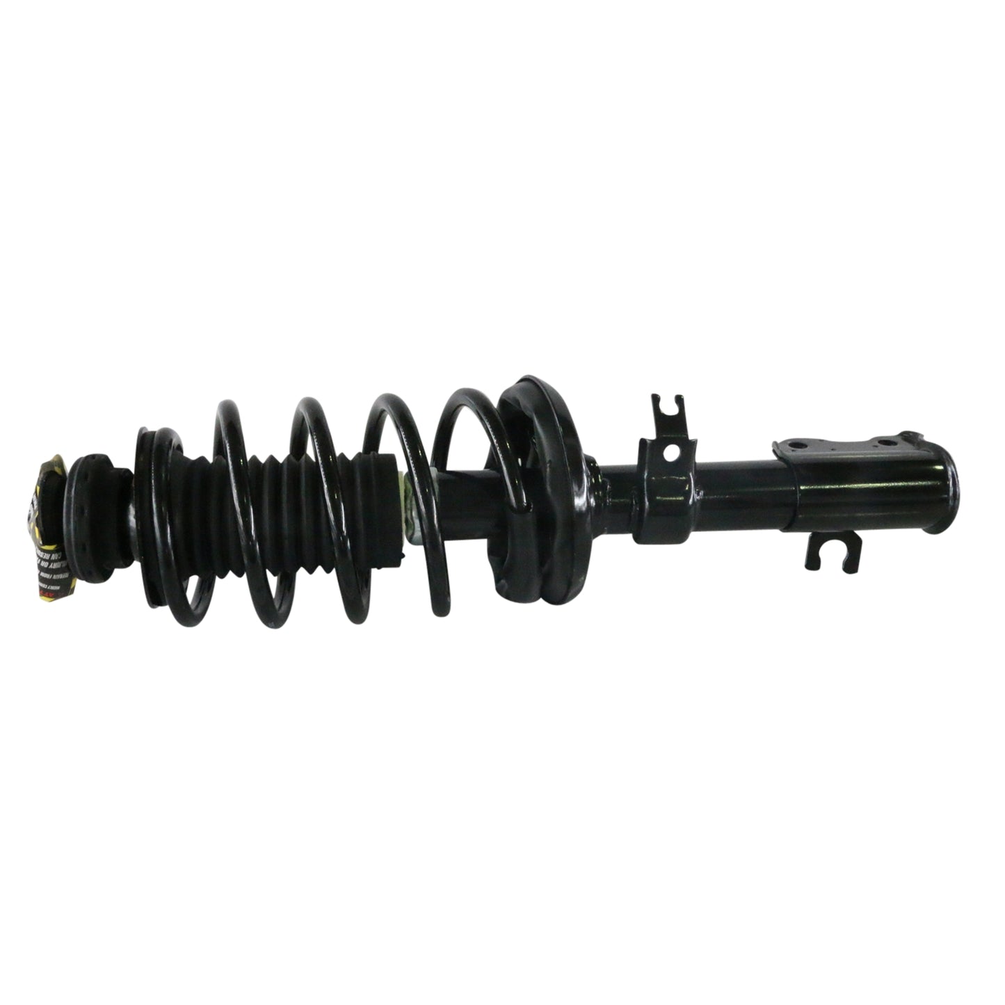 810026_2.jpg