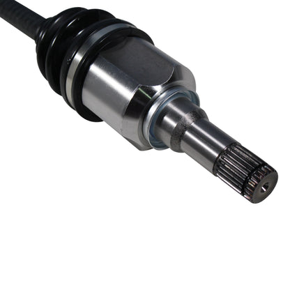 NCV11006_4.jpg
