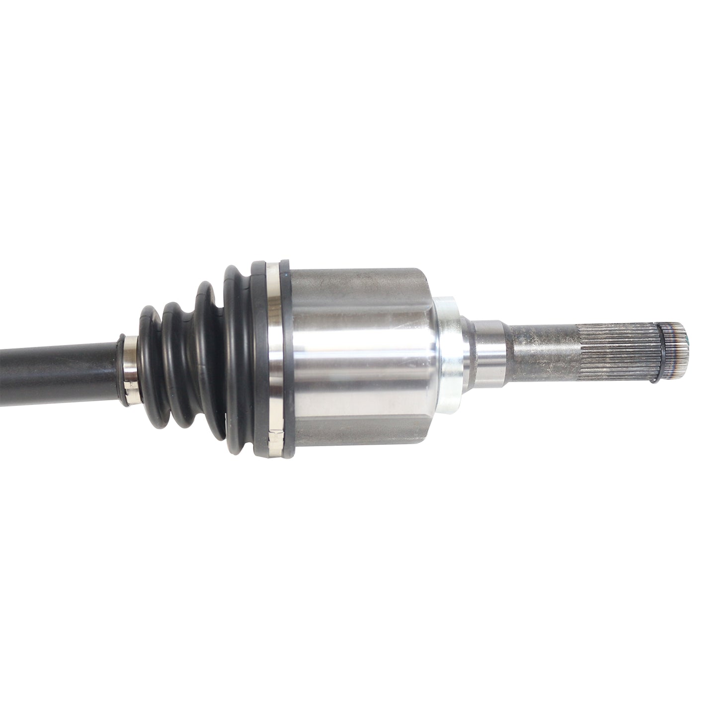 NCV11157_2.jpg