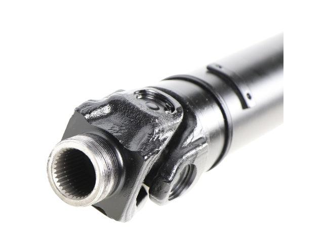 PS900164_2.jpg