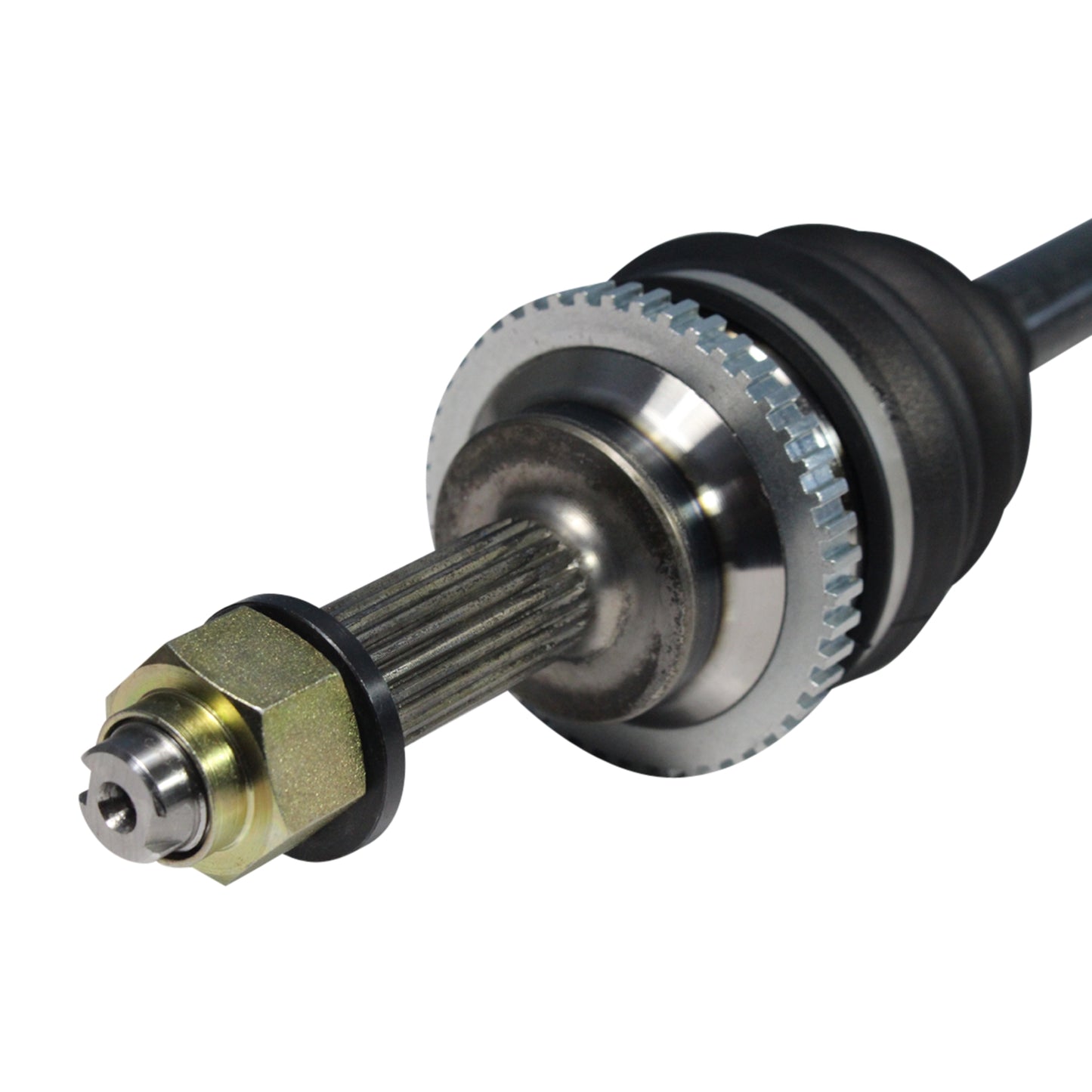 NCV10303_3.jpg