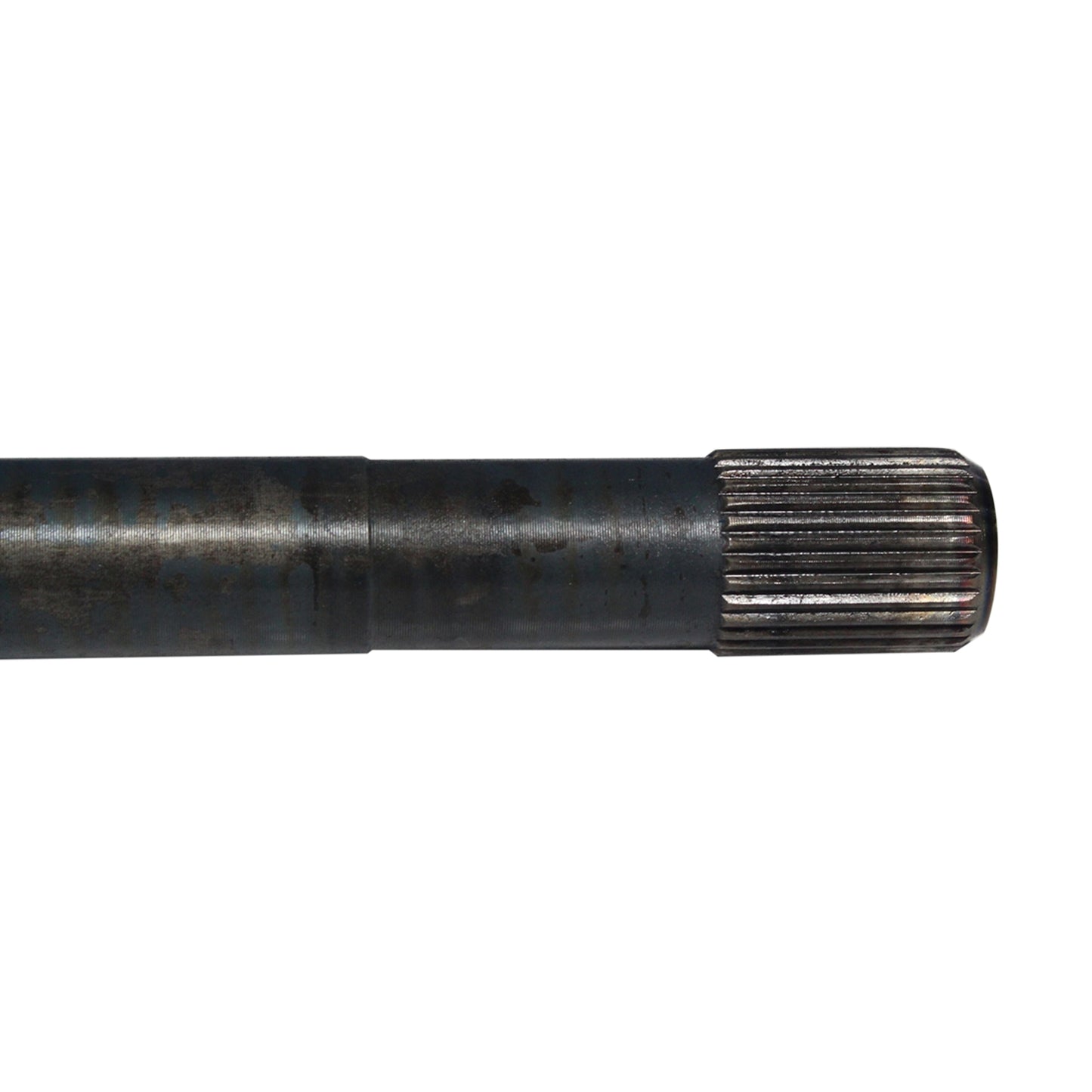 NCV69074_2.jpg