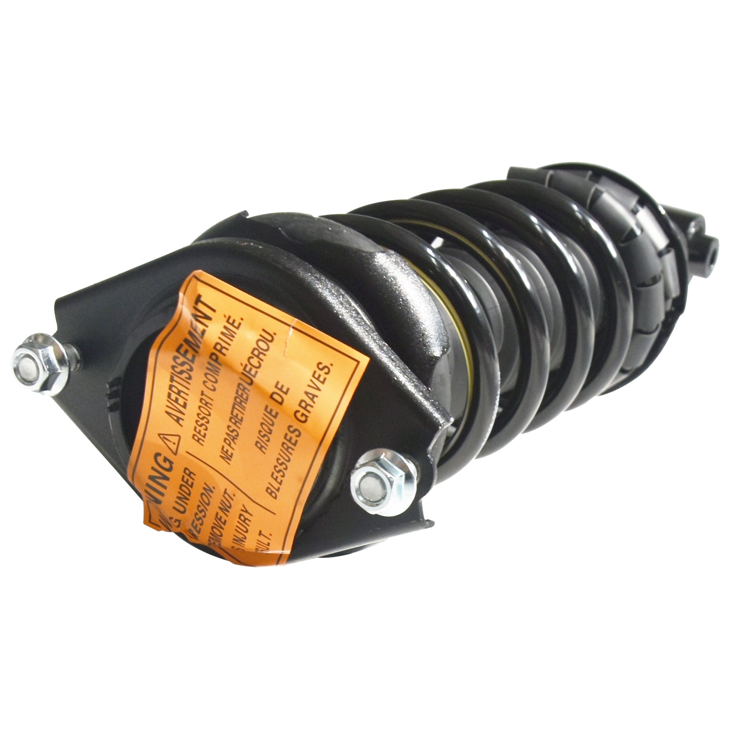 883059.jpg
